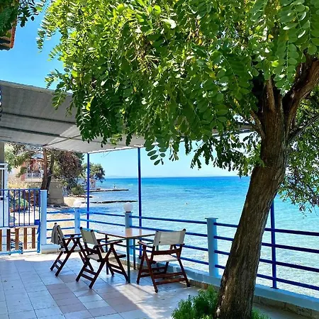 Manolis Studios Thassos Skala Kallirakhis