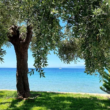 Manolis Studios Thassos Apartment Skala Kallirakhis
