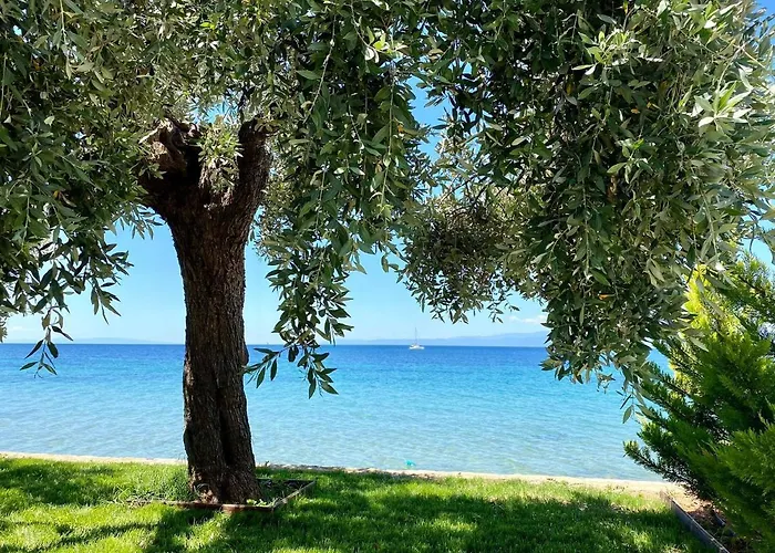 Manolis Thassos Διαμέρισμα Σκάλα Καλλιράχης