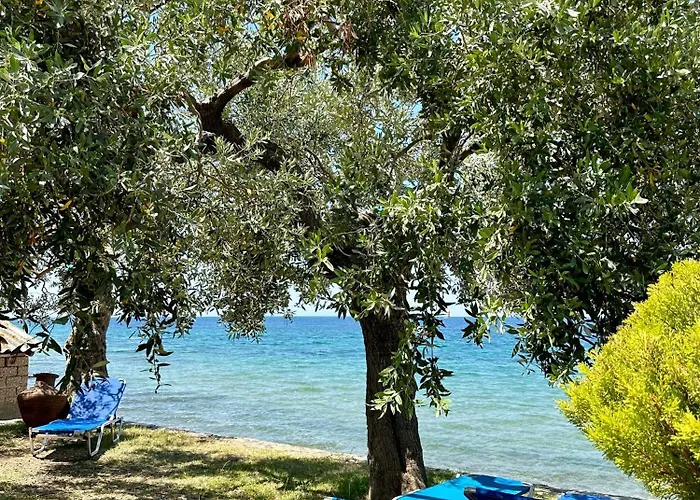 Manolis Thassos Σκάλα Καλλιράχης