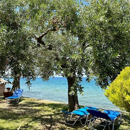 Manolis Thassos Skála Kallirákhis
